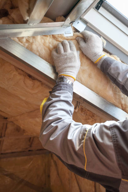 Best Insulation for Specific Applications in East Bronson, FL
