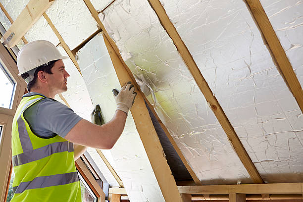 Types of Insulation We Offer in East Bronson, FL